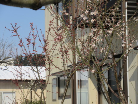 a0203003_21003960.jpg