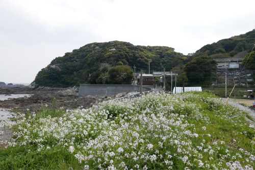 d0147406_07041837.jpg