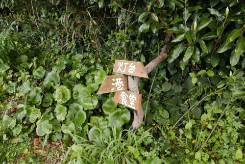 d0147406_07064842.jpg