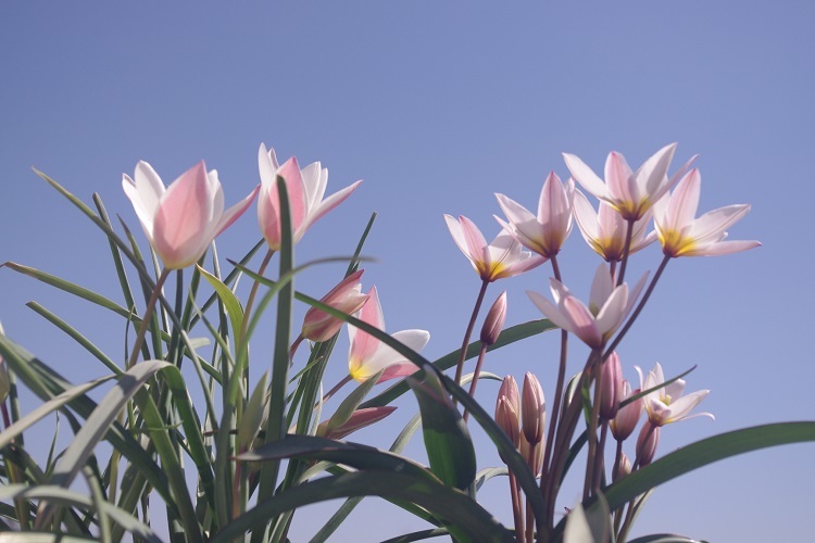 c0147909_17075000.jpg