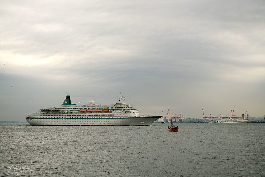 f0344614_18524363.jpg