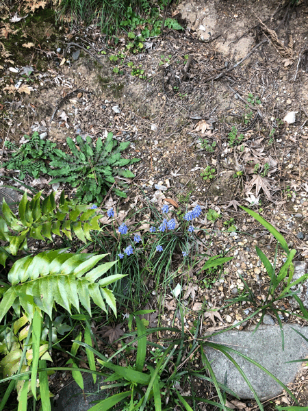 b0268815_14503845.gif