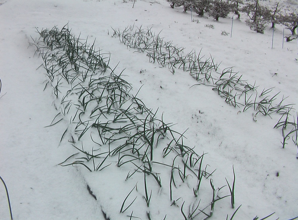 c0335218_10091911.jpg