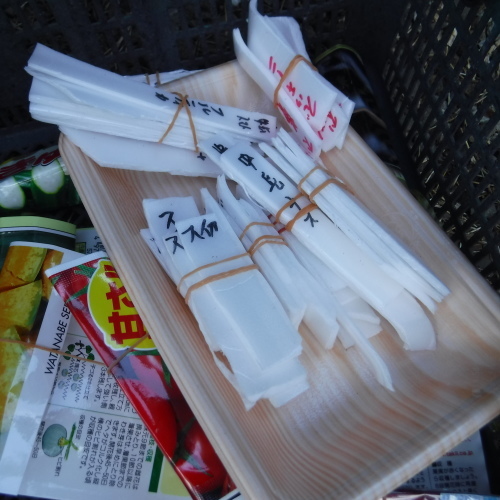 玄関土間で原木椎茸栽培に野菜ポット苗育成ジャ ァ 山梨県北杜市明野の宿 ナナミちゃんのお宿日記 玄関土間で原木椎茸栽培に野菜ポット苗育成ジャ ァ 山梨県北杜市明野の宿 ナナミちゃんのお宿日記