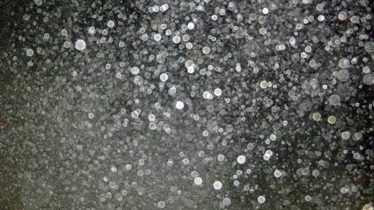c0331825_10354816.jpg