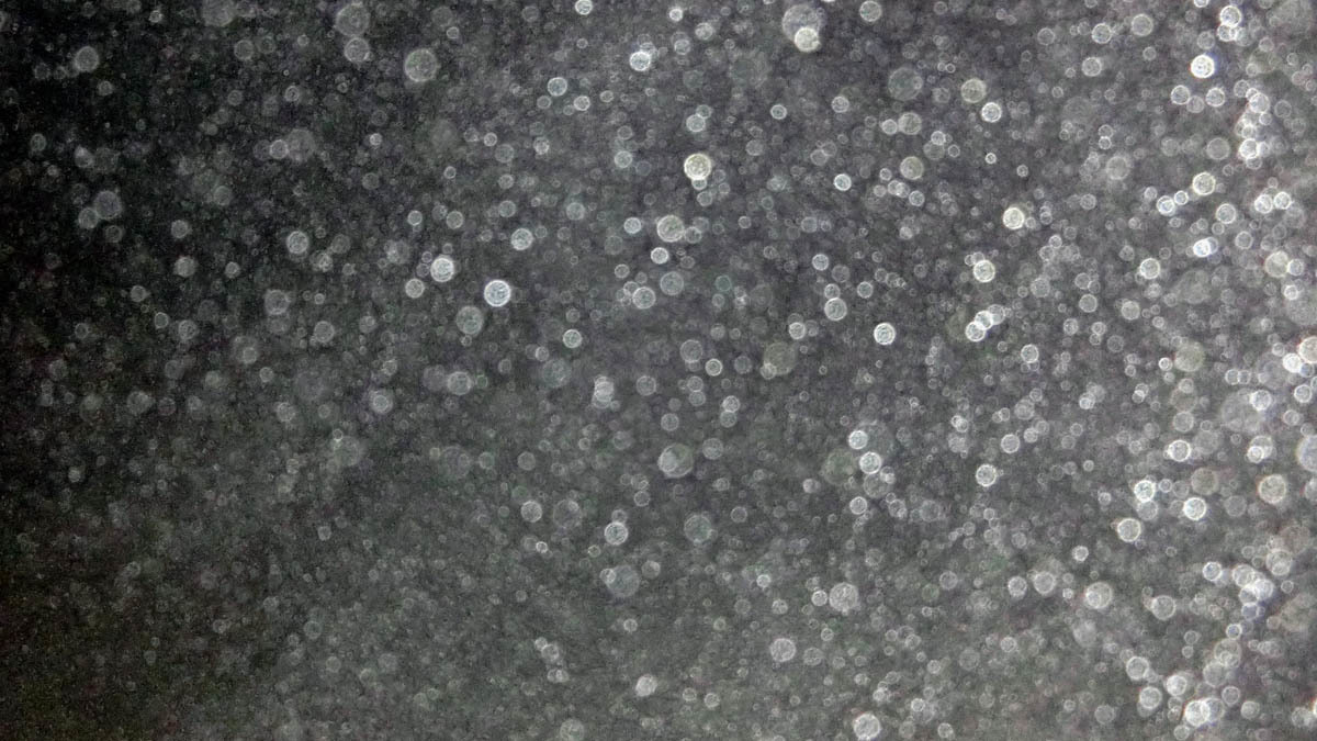c0331825_10402487.jpg