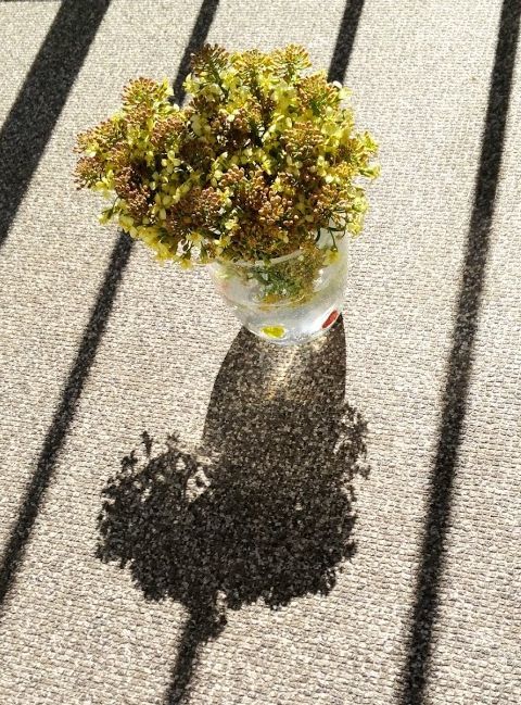 e0108126_10105327.jpg