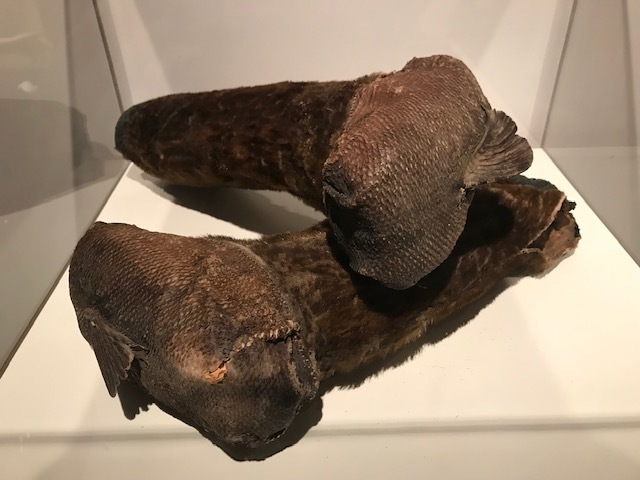 d0028327_17412770.jpg