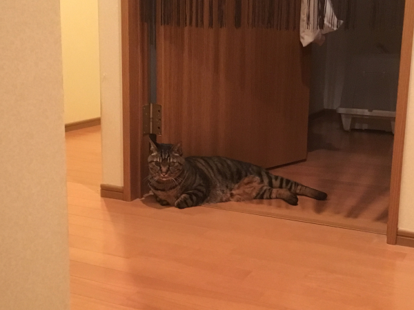 めまいの原因_a0099131_00215408.jpg