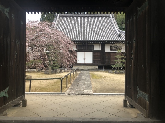 b0164533_14511369.jpeg
