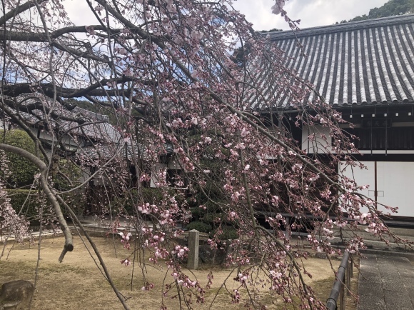 b0164533_14523564.jpeg