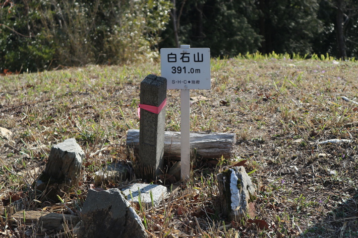 里山歩きで今季お初の春蘭を愛でる!_e0272335_1620634.jpg