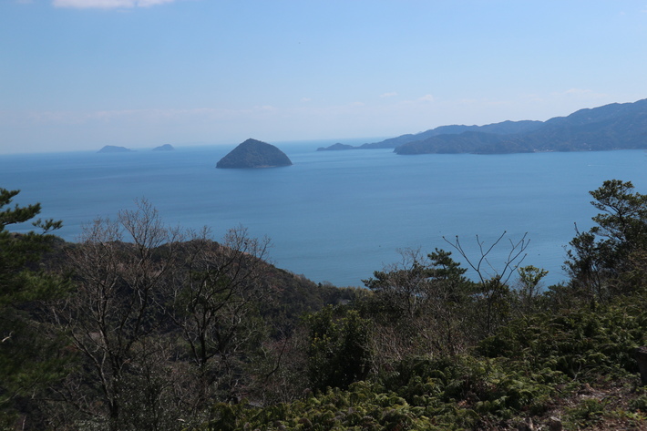 里山歩きで今季お初の春蘭を愛でる!_e0272335_1728818.jpg