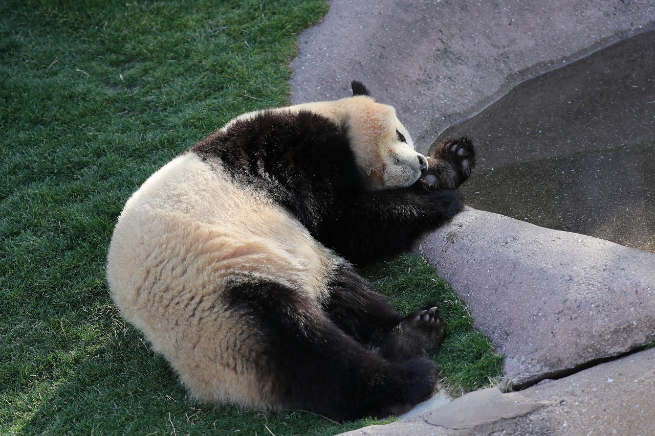 d0313140_04454477.jpg