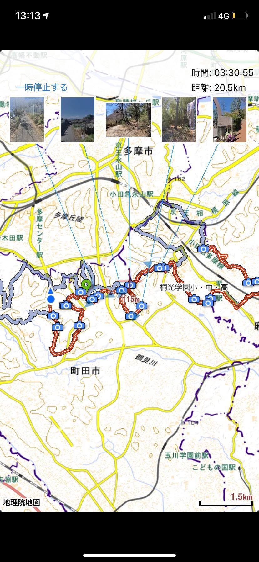 若葉台から多摩丘陵コースを行きました 途中まで 鳥好きの日記 若葉台から多摩丘陵コースを行きました 途中まで 鳥好きの日記