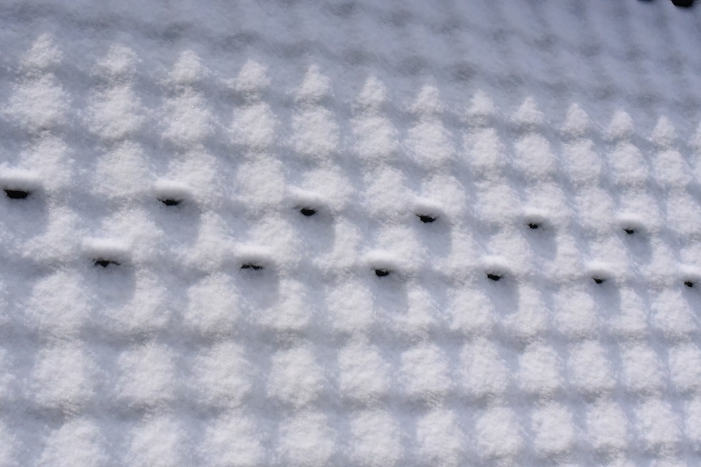 a0055650_09420013.jpg