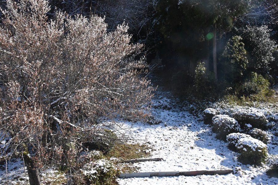 a0055650_13200763.jpg