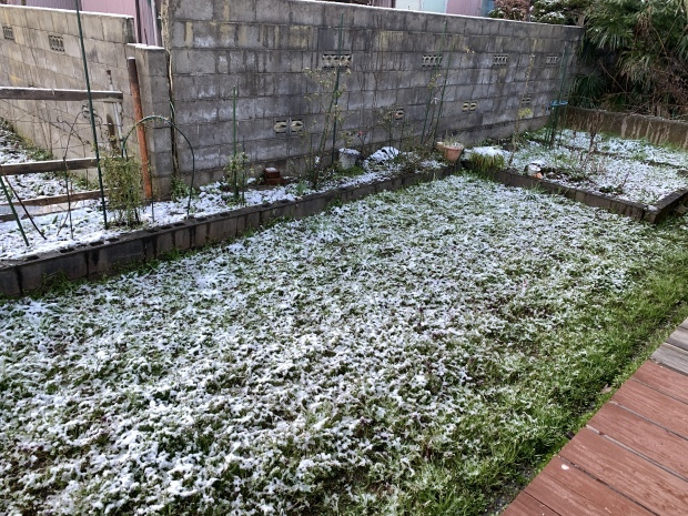 c0327752_07332789.jpeg