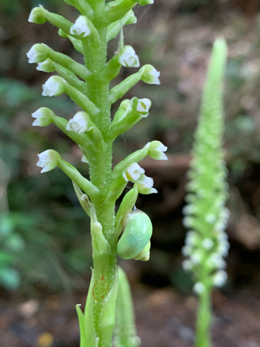 e0098955_22332115.jpg