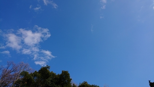 c0328559_17073764.jpg