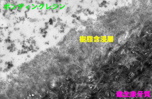 b0119466_01452954.jpg