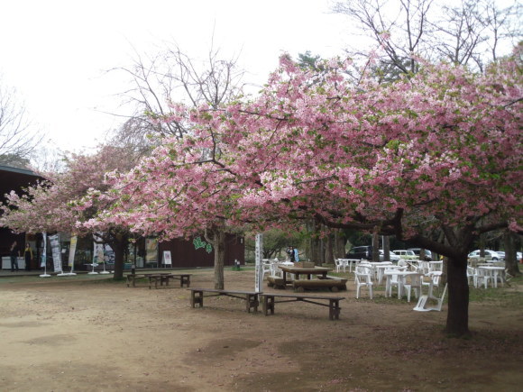 c0325468_20055654.jpg
