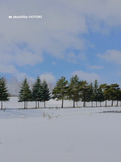 f0150377_20060718.jpg