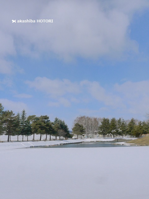 f0150377_20061728.jpg