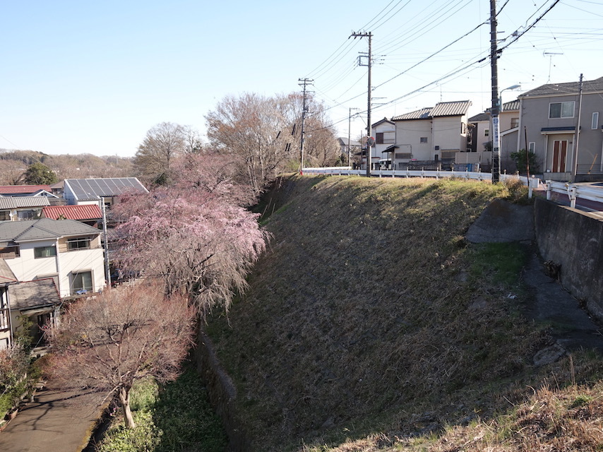 2019年3月24日　朝の散輪_e0406281_10272549.jpg