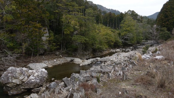 寒の戻りで寒かった_b0209484_12540920.jpg