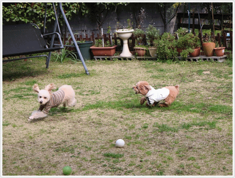 b0175688_00201275.gif