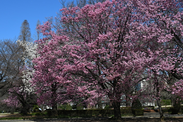 a0127090_21370015.jpg