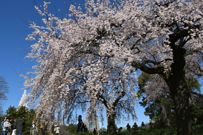 a0127090_21371992.jpg