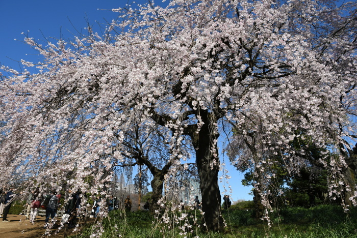 a0127090_21372927.jpg