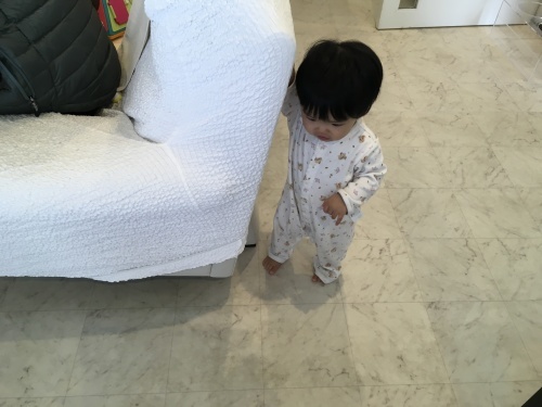 f0347891_00205240.jpeg