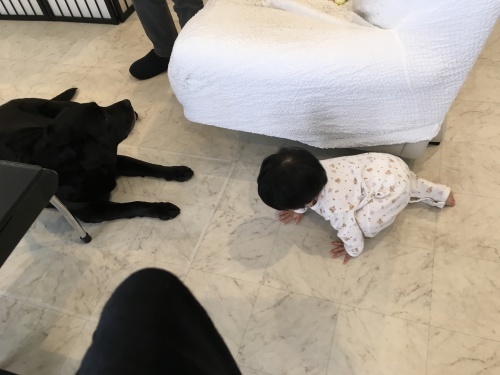 f0347891_00211048.jpeg