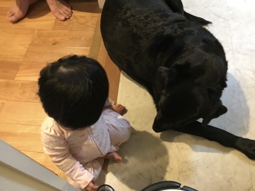f0347891_00221597.jpeg