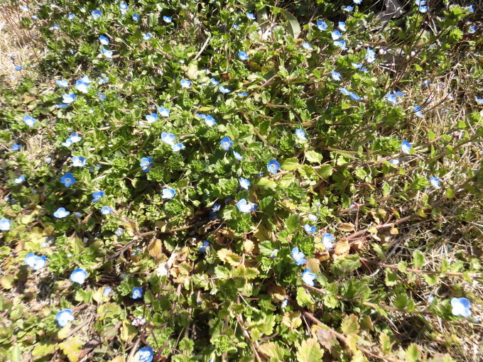 c0156104_21574929.jpg