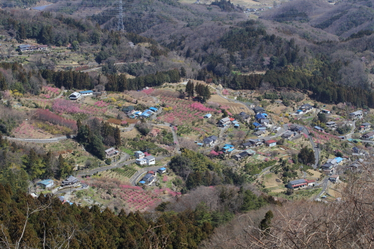 埼玉に白い煙 - 2019年早春・秩父鉄道 -_b0190710_22494642.jpg