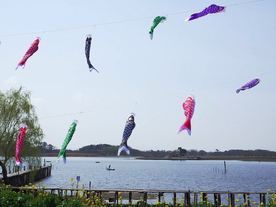 東風吹かば・・・多々良沼の空に鯉泳ぐ_a0031821_19314745.jpg