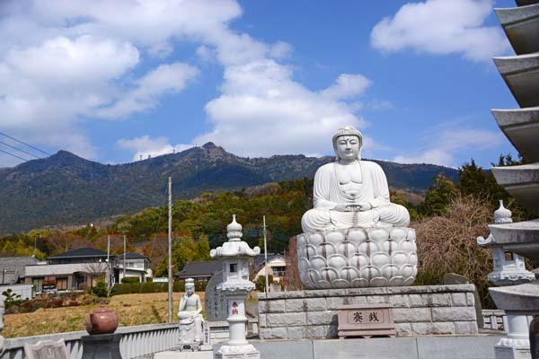 六所大仏 花桃 つくば市 ひな日記