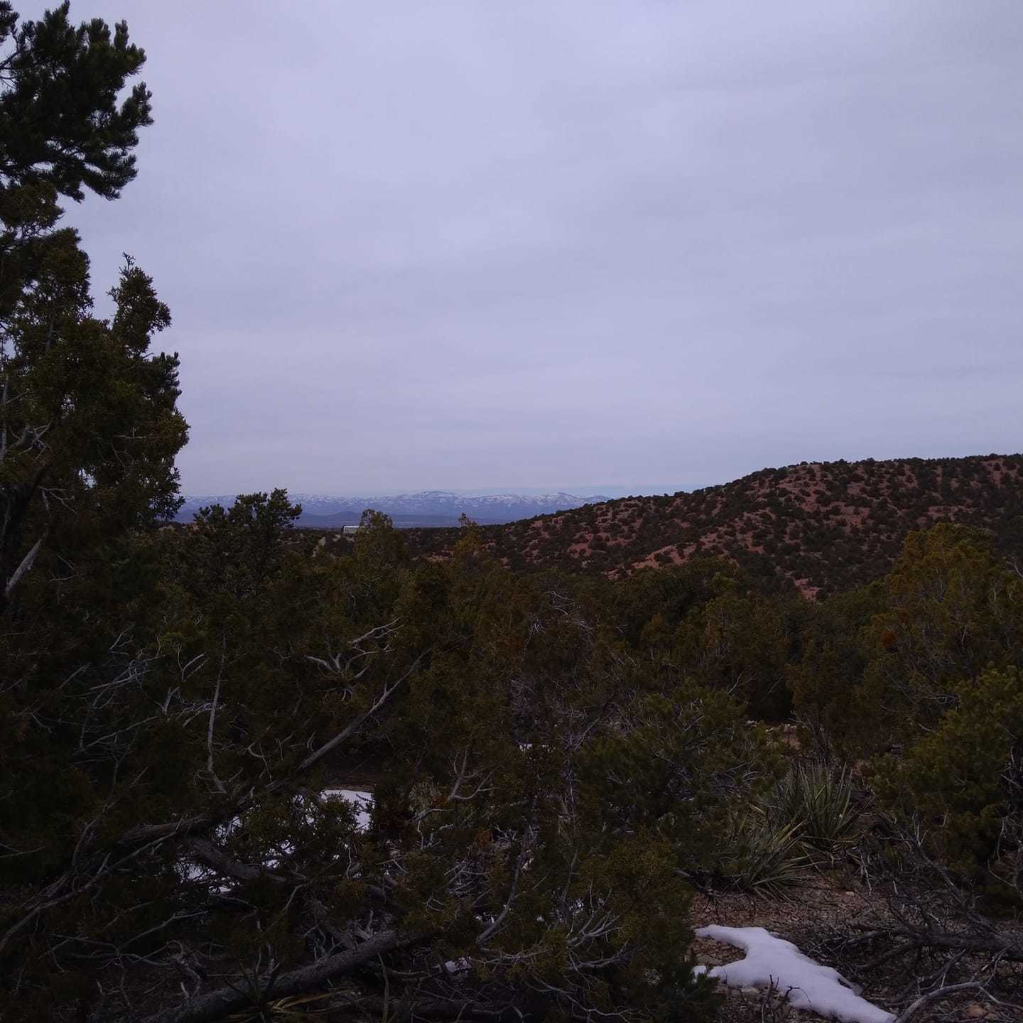 f0053026_19430825.jpg