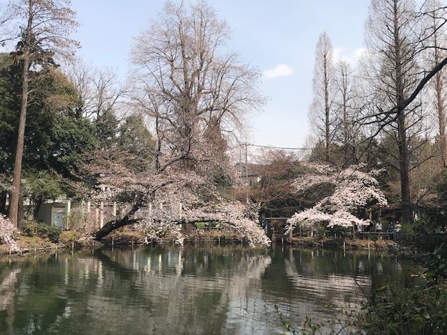 d0365027_13490646.jpeg