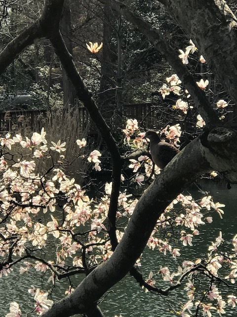 d0365027_13491320.jpeg