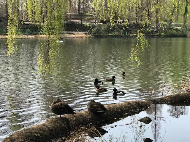 d0365027_14024141.jpeg