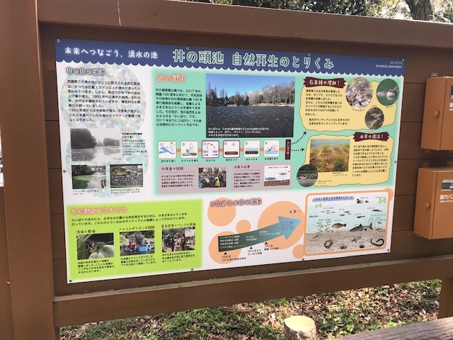 d0365027_14024429.jpeg
