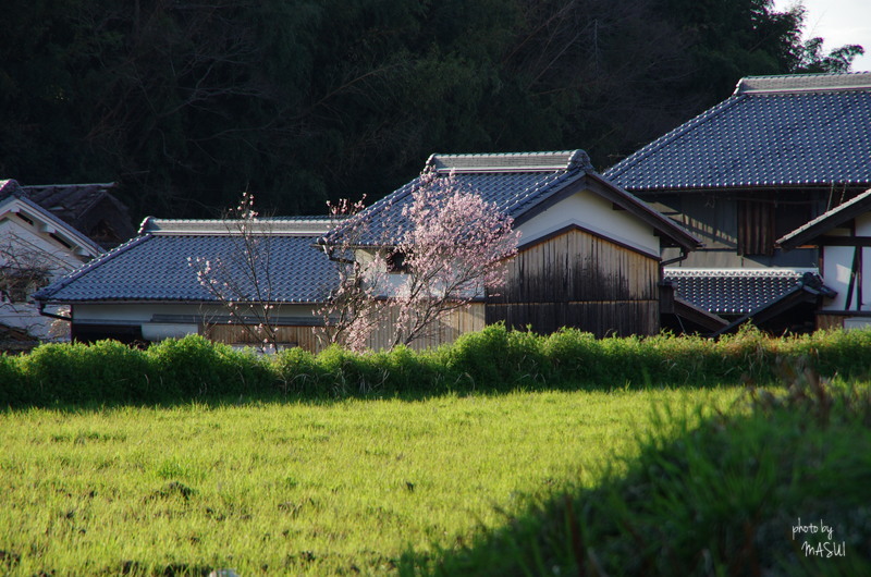 明日香村八釣_b0396833_22421130.jpg