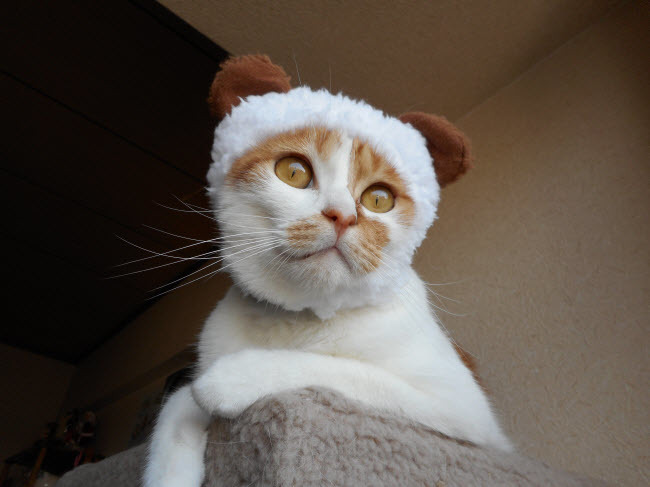 たろちゃの近況報告!_d0355333_15275966.jpg