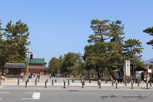 京都のパワースポット『平安神宮』の大鳥居は圧巻です！_f0023333_13173246.jpg