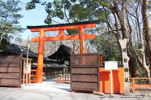 京都観光初日の最後は『河合神社』と『下鴨神社』の参拝で縁結びのご利益を♪_f0023333_13565502.jpg